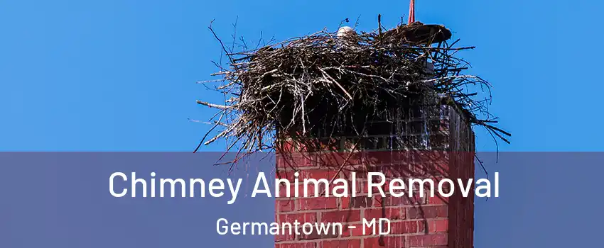  Chimney Animal Removal Germantown - MD