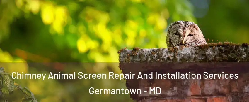  Chimney Animal Screen Repair And Installation Services Germantown - MD
