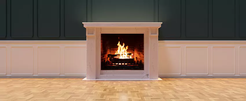 Napoleon Electric Fireplaces Inspection Service in Germantown, Maryland