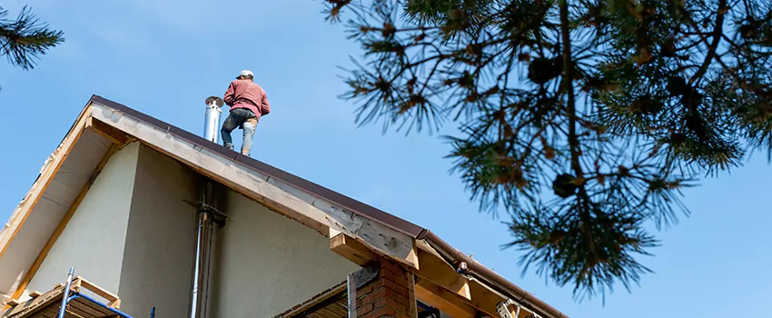 Birds Removal Contractors from Chimney in Germantown, MD