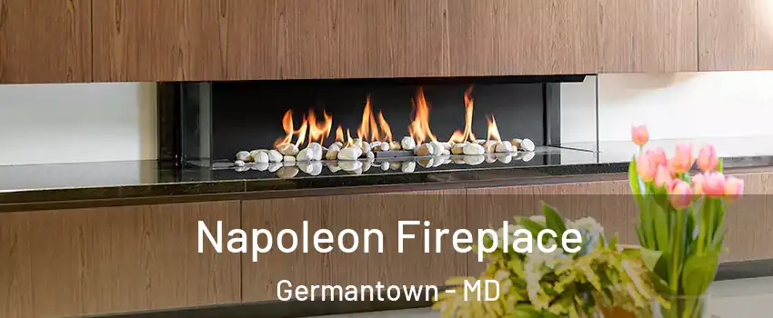 Napoleon Fireplace Germantown - MD