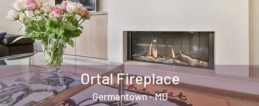  Ortal Fireplace Germantown - MD